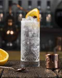 Коктейль Elderflower Collins (Елдерфлауер Коллінз) - фото 1