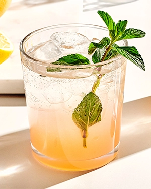 Коктейль Minty Gin Fizz (М'ятний Джин Фізз) - фото 1