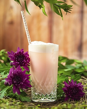 Коктейль Rose Gin Fizz (Фізз з Рожевим Джином) - фото 1