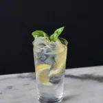 Коктейль Celery Gin & Tonic (Джин-тонік із селеровим джином) - фото 1