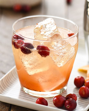 Коктейль Cranberry Vanilla Gin Spritzer (Журавлинно-ванільний джин-спритцер) - фото 1